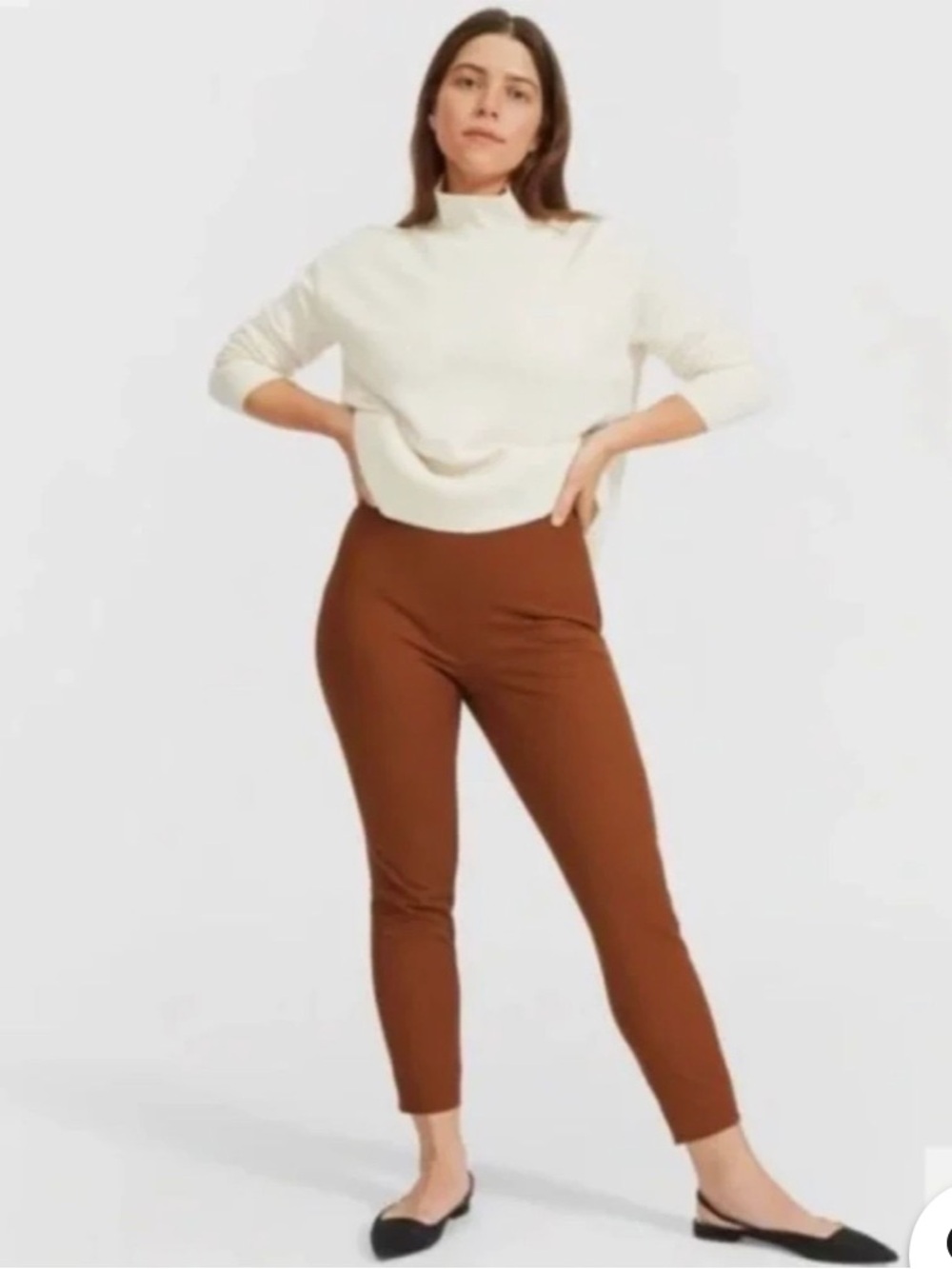 Everlane Side Zip Stretch Ankle Pants in Rust